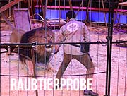 Circus Krone: kommentierte Raubtierprobe am 22.03.2025 mit Martin Lacey jr. und seinen Big Cats und Hans-Ludwig Suppmeier und seinen Pferden (©Foto:Martin Schmitz)